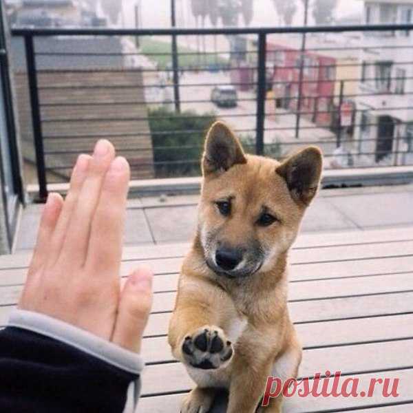 Интересные новости