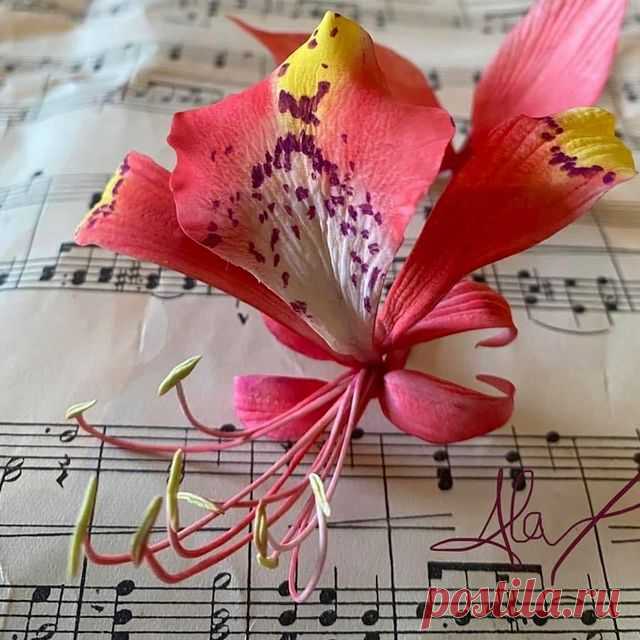 I loved creating this new and exotic flower for my FB live online classes.... The stunning flowers of the Amhertsia tree  are a lovely and challenging exotic flower to make - perfect for a Festive/Christmas display too. The footage was recorded and saved to a private group. A huge Thank you to everyone who signed up to this class 💛xx ..... if you missed the class first time around it is still not too late to sign up and watch the footage at your own leisure. If you would ...