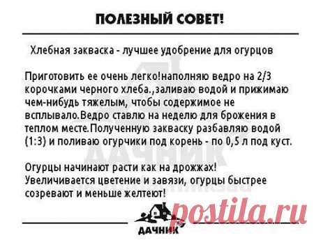 Очень РЕДКО встречаешь такие СОВЕТЫ.