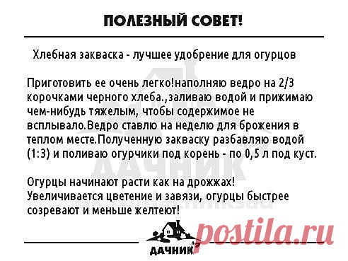 Очень РЕДКО встречаешь такие СОВЕТЫ.
