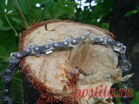 Походная цепная пила своими руками