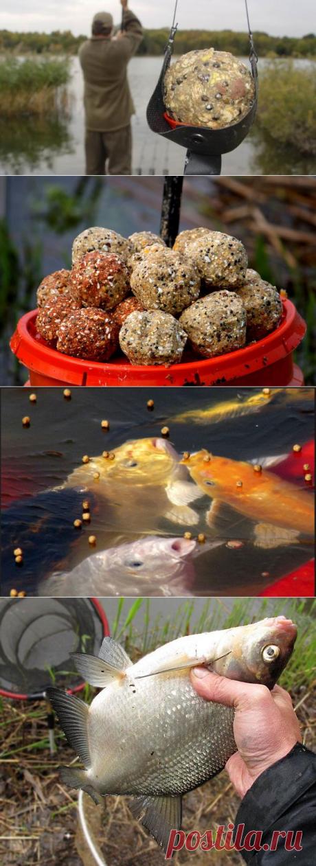 Все секреты приготовления прикомки для рыбалки