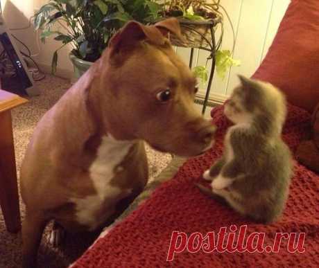 (1) Facebook