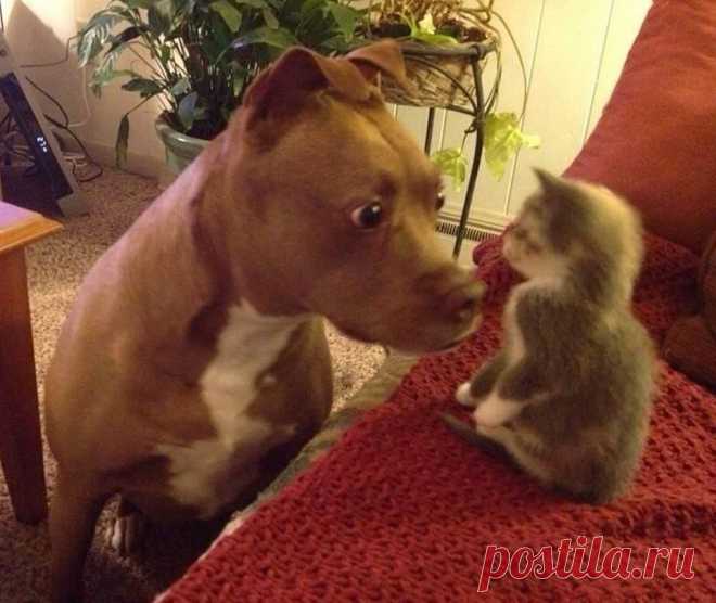 (1) Facebook