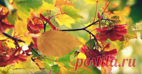 Николай Караченцов - Кленовый лист - Легенды нашего кино - YouTube