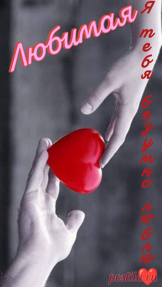 Я помню каждую минуту,
Которую с тобой провел,
И никогда я не забуду,
Какие чувства приобрел.