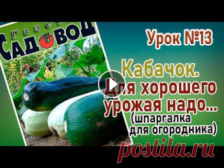 Для хорошего урожая кабачка необходимо создать благоприятные условия. Какие условия требует кабачок? Смотрите и сохраните шпаргалку. Если Вы еще не пр...
