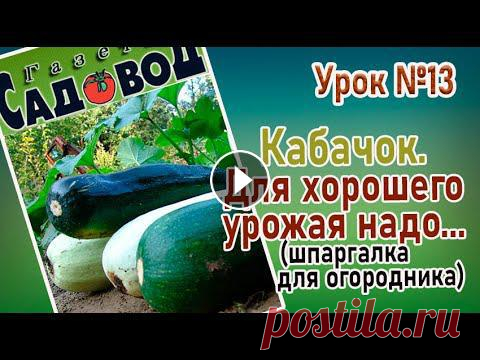 Для хорошего урожая кабачка необходимо создать благоприятные условия. Какие условия требует кабачок? Смотрите и сохраните шпаргалку. Если Вы еще не пр...