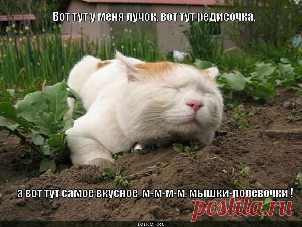 Декор для сада, интерьера в Волгограде