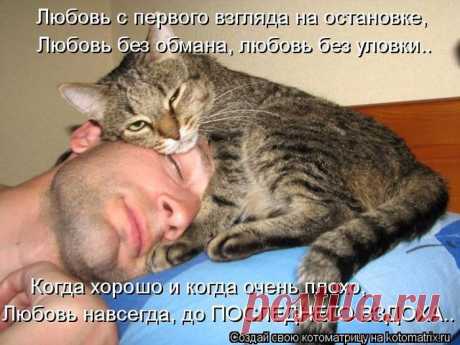 Немного позитива от пушистиков и Михалыча! | 5минутка