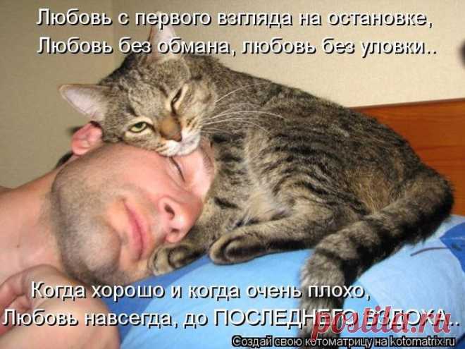 Немного позитива от пушистиков и Михалыча! | 5минутка