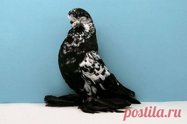 ☜♥☞Ինքս ինձնից գաղտնի` Քեզ եմ դարձյալ սիրում☜♥☞