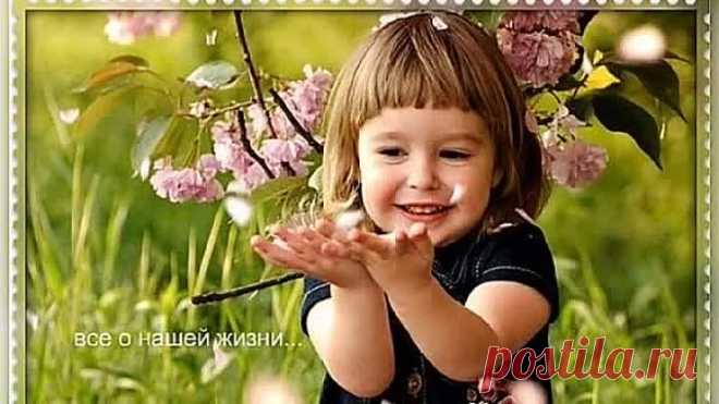 544db387-075e-4f93-a6ee-e5b7ee7b4645