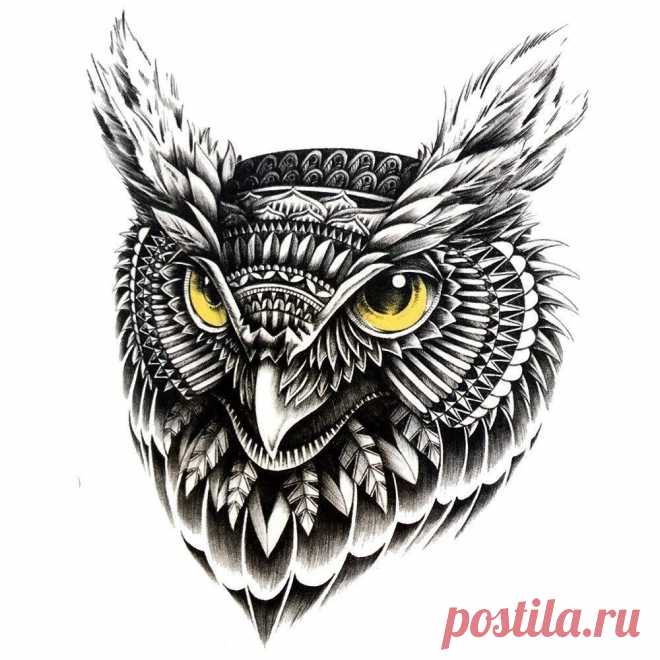Тату сова: значение, фото, эскизы, примеры