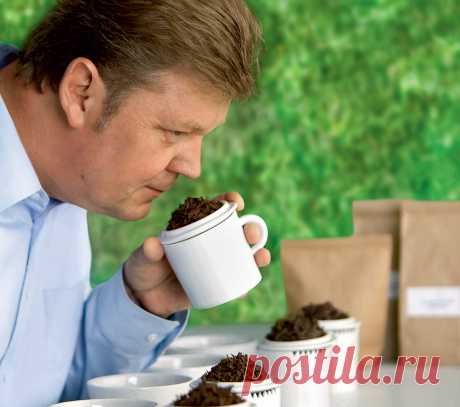 50 оттенков черного | Публикации | Вокруг Света