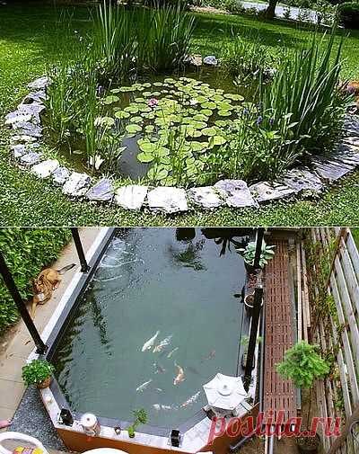 Пруд на даче своими руками / RMNT.RU