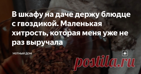 В шкафу на даче держу блюдце с гвоздикой. Маленькая хитрость, которая меня уже не раз выручала Статья автора «Уютный дом» в Дзене ✍: На днях зашла в один небезызвестный магазин бытовой химии, и на кассе девушка-продавец навязчиво так стала предлагать купить товар по акции.