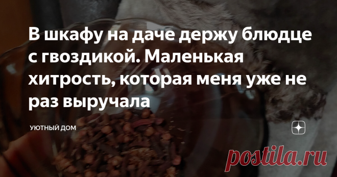 В шкафу на даче держу блюдце с гвоздикой. Маленькая хитрость, которая меня уже не раз выручала Статья автора «Уютный дом» в Дзене ✍: На днях зашла в один небезызвестный магазин бытовой химии, и на кассе девушка-продавец навязчиво так стала предлагать купить товар по акции.
