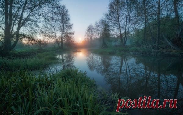 Валерий Дунаев - Боровичи, Новгородская обл., Россия, 74 года на Мой Мир@Mail.ru