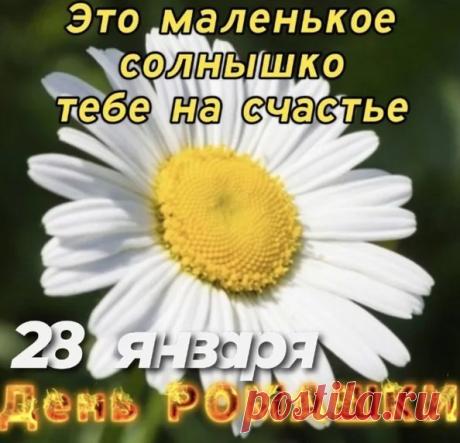 Простая и нетребовательная с виду,
Ромашка нанесёт обиду,
Тому, кто станет на пути,
И не захочет сам уйти. Открытки на День ромашки!