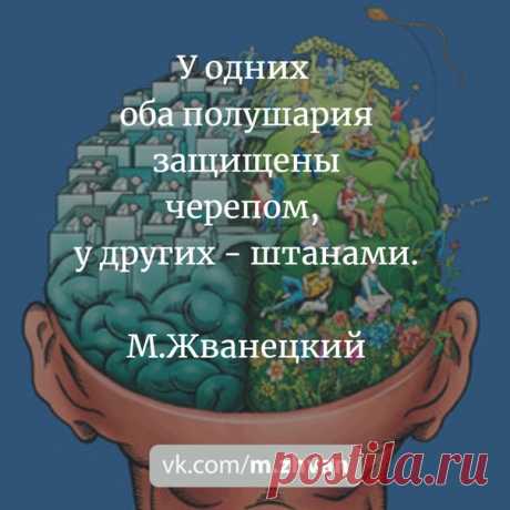 #Жванецкий #МихаилЖванецкий