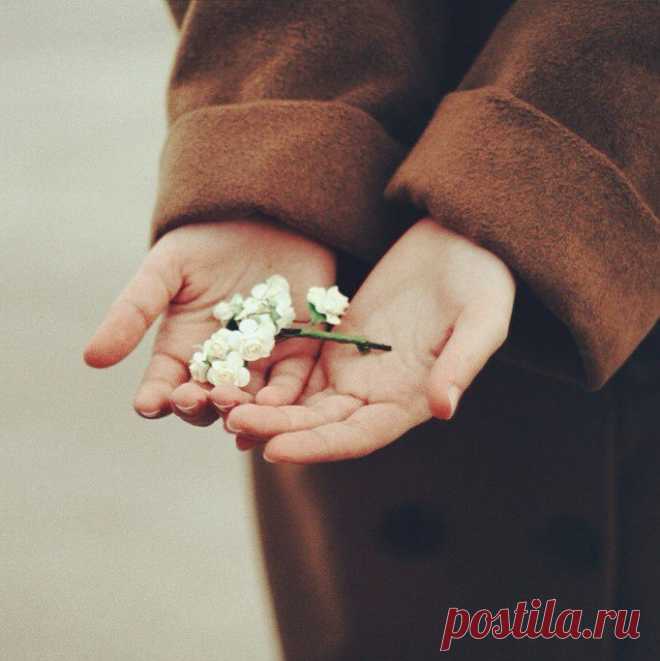 «Когда меня не понимают, 
Скажи, Господь, ну как мне быть?» 
Спокойно Бог мне отвечает: 
«ЛЮБИТЬ, ты должен их ЛЮБИТЬ». 

Показать полностью…