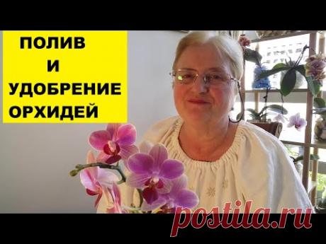 ПОЛИВ И УДОБРЕНИЕ