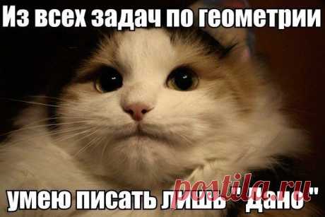 Новости
