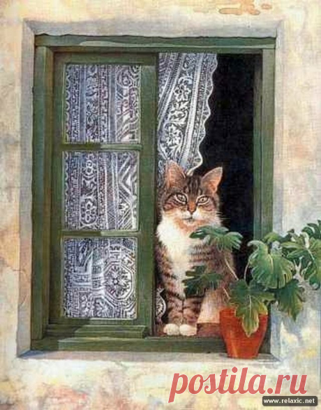 Кошачьи сказки (75 фото) | Релаксик