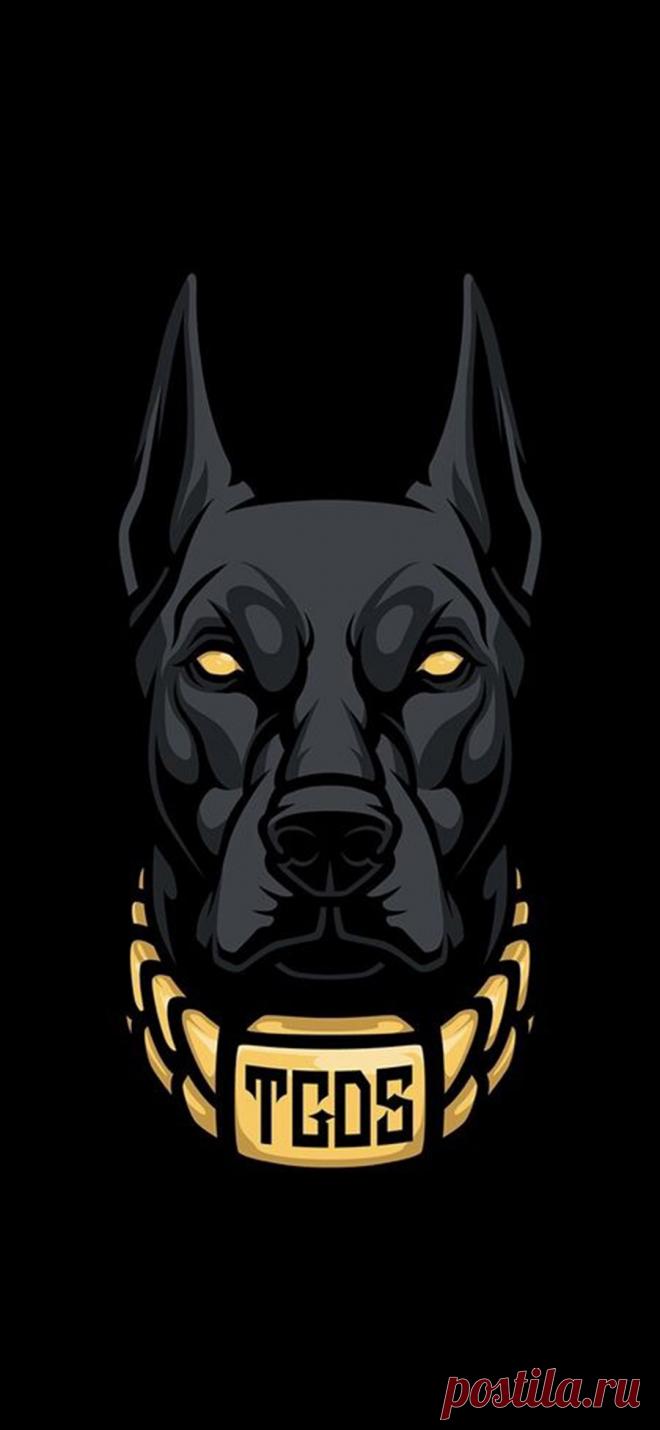 Питбуль обои на экран блокировки телефона черные.