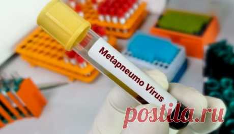 Метапневмовирус - вот что нужно знать о нем - ФОКУС ВНИМАНИЯ