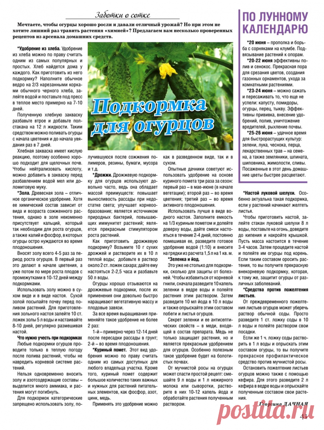 Подкормка для огурцов