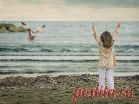 Сила родительского благословения