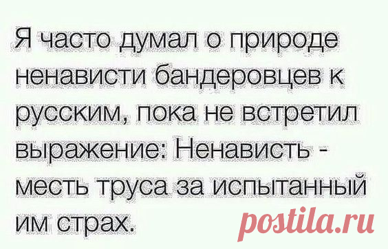 (64) Pinterest