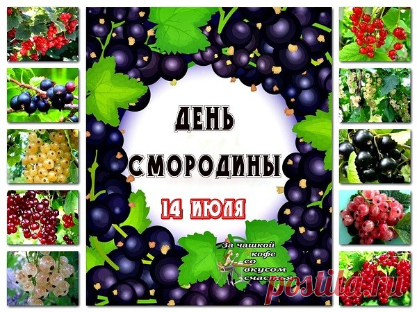 14 июля - День смородины - Красивые открытки с Днем смородины - Вкусные стихи про смородину
