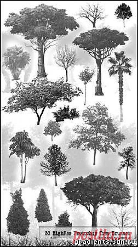 Деревья - Кисти для фотошопа в высоком разрешении,  Деревья - Кисти для фотошопа в высоком разрешении без регистрации