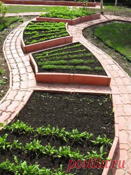 Советы от Галины Александровны Кизимы