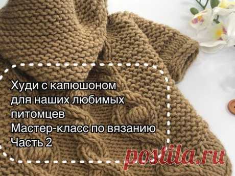 Модное худи для вашего питомца. Вяжем спицами. Мастер-класс. Часть 2