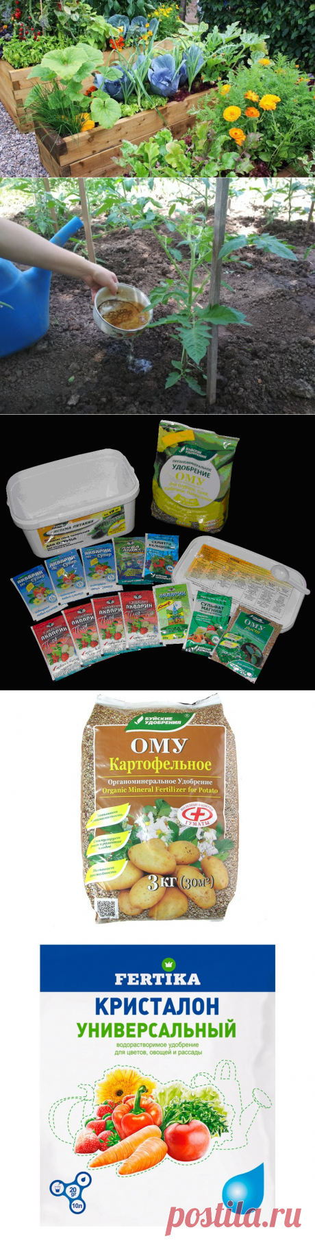 Чем подкормить плодовые декоративные и газонные растения летом