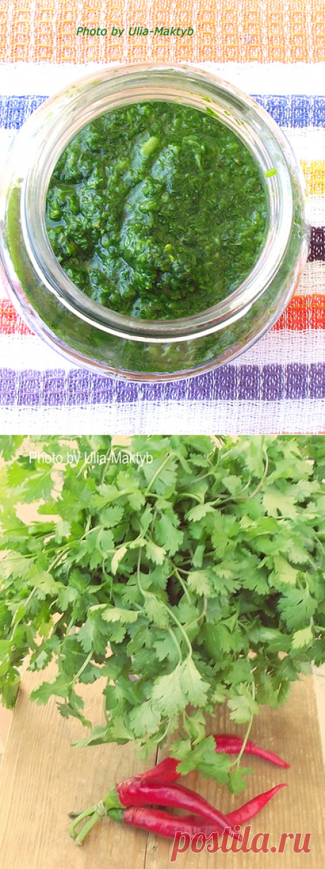 Кубдари и кое-что ещё...  Соус из Кинзы - НА КУХНЕ С МАКТУБ