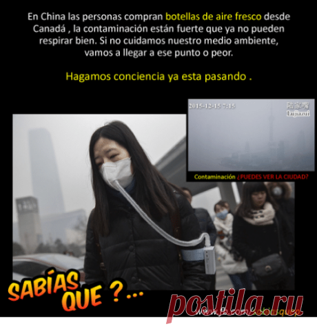el calvo de brazzers frases - Buscar con Google