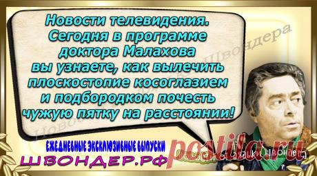 Новости от дядьки Швондера, классный анекдот, смешная фраза, веселая фенечка, каламбур, афоризмы, смех, забавные картинки, сложный юмор, непонятные анекдоты, цитаты из интернета, мэмчик, развлечение, Швондер говорит, Шариков, Собачье сердце, улыбка до ушей, веселый сайт, забава, смешарик, мем, потеха, картинка со смыслом, фарс, наколка, мемасик, шутка, юмор, анекдоты в картинках, юмор в картинках, свежие приколы, Швондер, смешная фишка, улыбка, интересное в сети, смех, швондер.рф, #швондер.рф