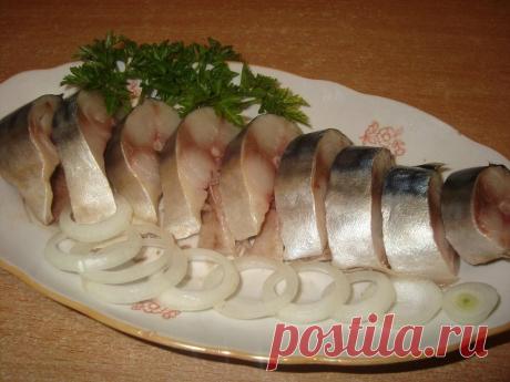 Приспособилась солить скумбрию в пакете: вкуснее, чем в рассоле, и посуда не нужна | Вкусно и... Соленая скумбрия к картошке. Рецепт "сухого" посола в пакете