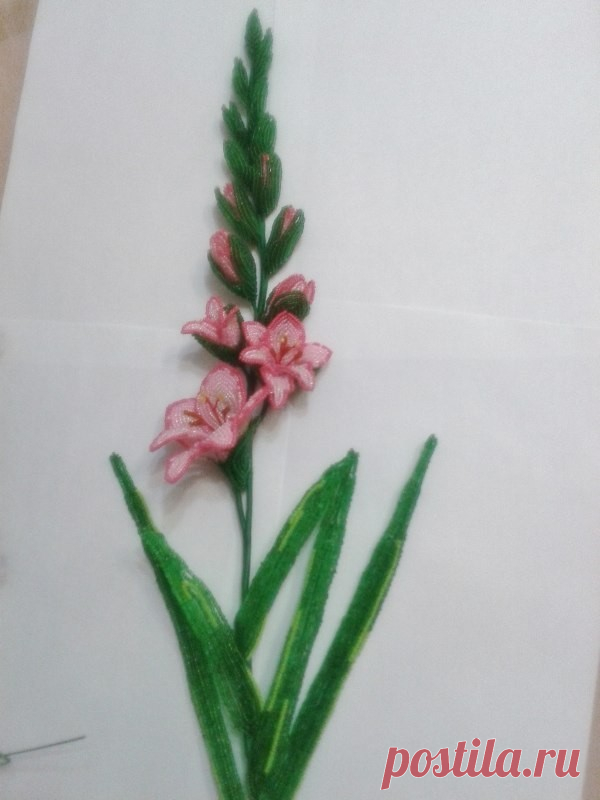 Гладиолус из бисера