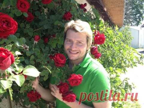 ШоубиZZZ - всё о звёздах