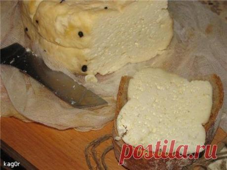 Копчена бринза / Блоґ ім. Kagor / Кукорама — смачні рецепти!
