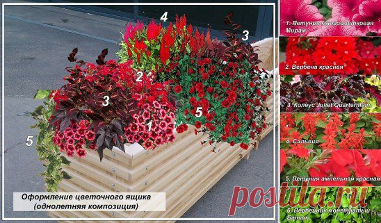 (79) Одноклассники
