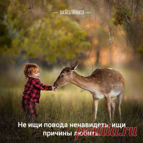 Жизнь - это кухня, на которой есть абсолютно все. И если Вы в десерт накидаете горького перца, то при чем тут продукты? Выбор был за Вами.
