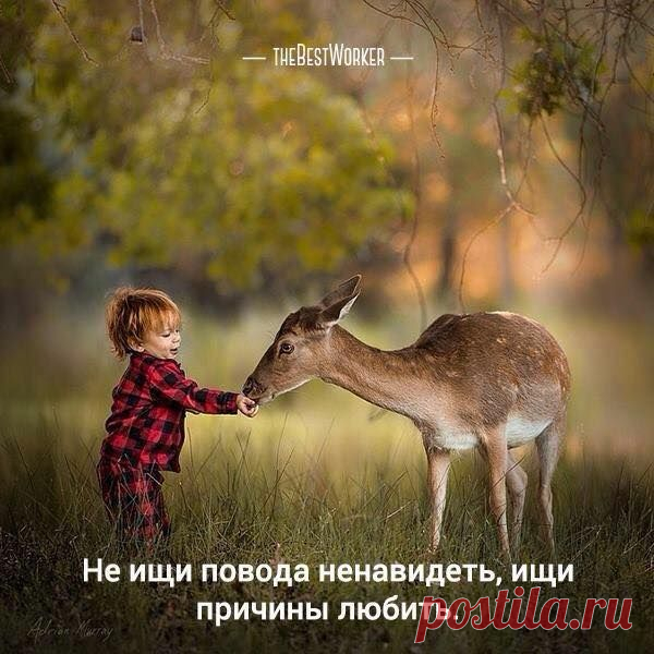 Жизнь - это кухня, на которой есть абсолютно все. И если Вы в десерт накидаете горького перца, то при чем тут продукты? Выбор был за Вами.