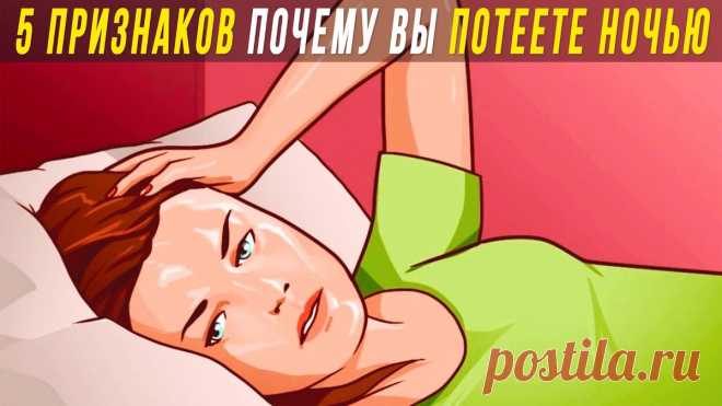 Почему вы просыпаетесь в поту — и когда это может быть симптомом болезни | Главный Медицинский Канал | Дзен